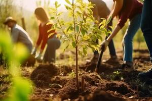 aanplant bomen voor duurzame voedsel productie gemaakt met generatief ai technologie. foto