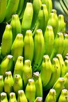 groen bananen achtergrond foto