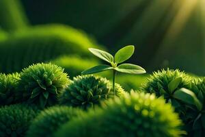 groen spruit groeit in de ochtend- licht. concept van nieuw leven ai genereren foto