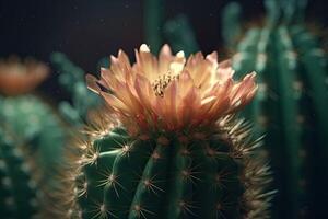 macro detailopname van bloeiend cactus. generatief ai foto