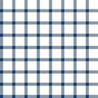 venster deelvenster plaid naadloos patroon, blauw en wit kan worden gebruikt in de ontwerp van mode kleren. beddengoed reeksen, gordijnen, tafelkleden, notitieboekjes, geschenk omhulsel papier foto