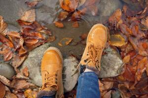 vrouw voeten Aan stenen gedaald herfst bladeren top visie foto