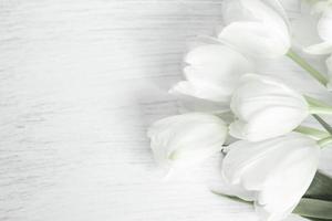 tulpenbloemen op wit hout met exemplaarruimte foto
