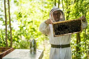 imker met zijn bijenkorven in Woud. bijenteelt professioneel bezigheid. foto