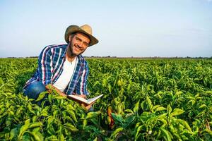 gelukkig boer is staand in zijn peper plantage. foto