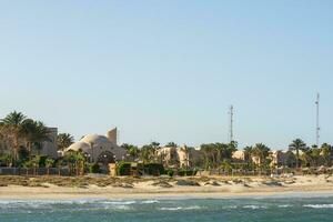 toevlucht met palm bomen Aan de rood zee in Egypte foto