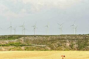 een veld- met windmolens foto