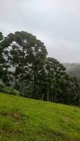 visie van de bergen van minas gerais Brazilië foto