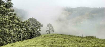 visie van de bergen van minas gerais Brazilië foto