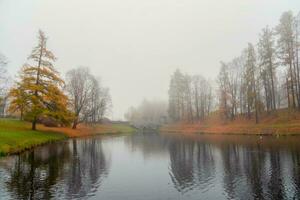 zacht focus. mystiek ochtend- herfst landschap met mist over- de meer. foto