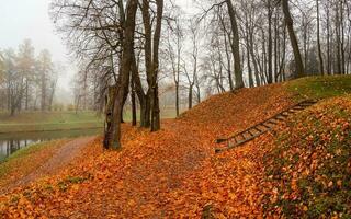 panoramisch visie van de mistig herfst park. trap in een park gedekt met herfst bladeren. foto