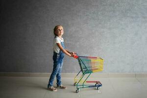 een weinig meisje staat in een op te slaan met een leeg boodschappen doen mand. de kind is Holding een karretje. foto