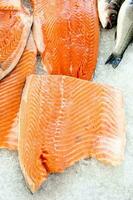 vers rood Zalm foto