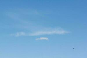 licht wolken in de blauw lucht met een vogel. licht blauw achtergrond in de lucht. foto