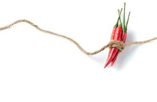 rood Chili peper met touw geïsoleerd Aan wit foto