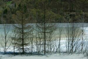 een meer vervuild met giftig verspilling in de western bergen van Roemenië. natuur verontreiniging van koper de mijne. ecologisch catastrofe of milieu ramp foto