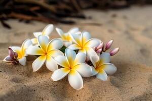 frangipani bloemen Aan de zand met. ai gegenereerd foto