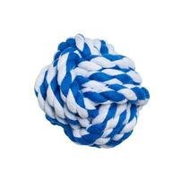 wit Blauw touw bal geïsoleerd Aan wit achtergrond, dier speelgoed- foto