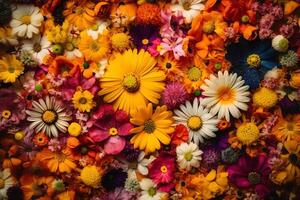 levendig en kleurrijk bloemen achtergrond met divers types van bloemen. ai gegenereerd foto