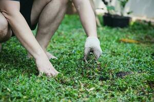 Mens is aanplant gras in zijn huis tuin, mensen met huishouden groen ecologie voor mooi zo milieu concept foto