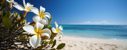 plumeria frangipani Aan tropisch zee en strand blauw lucht achtergrond, zomer feestelijk tijd. generatief ai foto