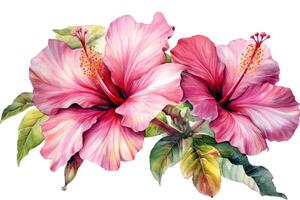 hand- getrokken waterverf schilderij met roze Chinese hibiscus roos bloemen geïsoleerd Aan wit achtergrond. ai gegenereerd foto