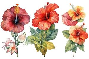 reeks van verschillen bloem hibiscus Aan wit achtergrond waterverf tropisch bloemen illustratie. ai gegenereerd foto