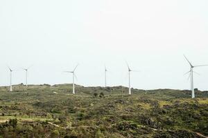 groen landschap met wind turbines in een rij. sorteren foto