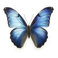 mooi Vleugels van een blauw vlinder geïsoleerd Aan een wit achtergrond, genereren ai foto