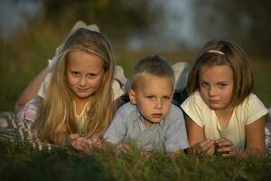 zussen en weinig broer liggen Aan de gras. kinderen Speel in de weide. een gelukkig familie. foto