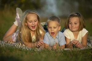zussen en weinig broer liggen Aan de gras. kinderen Speel in de weide. een gelukkig familie. foto
