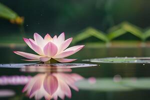 mooi roze lotus bloeiend Aan vijver. ai gegenereerd foto