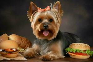 yorkshire terriër hamburger. genereren ai foto