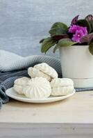 vanille zoet eigengemaakt marshmallows. licht samenstelling met natuurlijk bladeren en bloemen. Purper bloem. zoet heerlijk nagerecht. foto