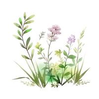 generatief ai inhoud, reeks van botanisch illustraties. tuin bedden en gras, wild bloemen Aan een wit achtergrond. reeks voor landschap ontwerp. foto