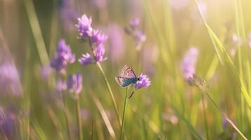 natuurlijk achtergrond met vlinder Aan veld. illustratie ai generatief foto