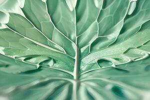 ontwerp elementen met bladeren en bomen in natuurlijk texturen foto