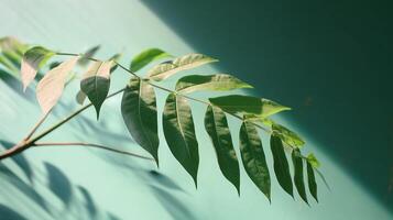 tropisch boom Afdeling in zonlicht met blad schaduw Aan pastel groen achtergrond. ai gegenereerd foto