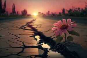 dichtbij omhoog, roze bloem groeit Aan barst straat zonsondergang achtergrond ai gegenereerd foto