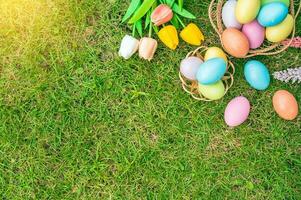 gelukkig Pasen vakantie groet kaart concept. kleurrijk Pasen eieren en voorjaar bloemen Aan groen grassen achtergrond. vlak leggen, top visie, kopiëren ruimte. foto