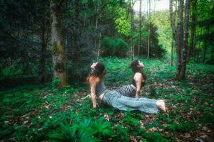 jong Dames praktijk yoga in paren foto