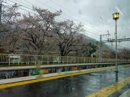 kyoto, Japan in april 2019. arashiyama station met druilerig weer voorwaarden en nog steeds in de lente. kers bloesem bomen foto