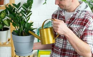 Mens wateren huis planten van haar verzameling van bijzonder soorten van een gieter kan, gegroeid met liefde Aan schappen in de interieur van de huis. huis fabriek groeien, groen huis, water balans foto