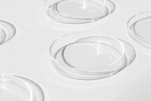 Petri gerecht. een reeks van Petri kopjes. een pipet, glas buis. Aan een wit achtergrond. foto
