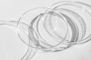 Petri gerecht. een reeks van Petri kopjes. een pipet, glas buis. Aan een wit achtergrond. foto