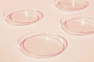 Petri gerecht. een reeks van Petri kopjes. een pipet, glas buis. Aan een roze achtergrond. foto