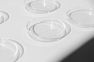 Petri gerecht. een reeks van Petri kopjes. Aan een wit achtergrond. laboratorium voor de helft. foto