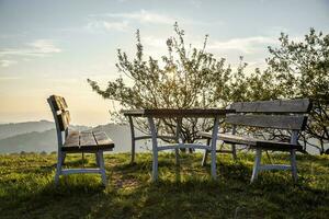 houten picknick tafel met banken Aan mooi groen gras gazon met een Super goed visie foto