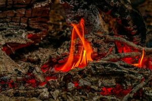 structuur vlam van brandend logboeken Bij nacht foto