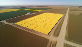 generatief ai, boerderij landschap, agrarisch tarwe velden, mooi platteland, land weg. natuur illustratie, fotorealistisch top visie drone, horizontaal spandoek. foto